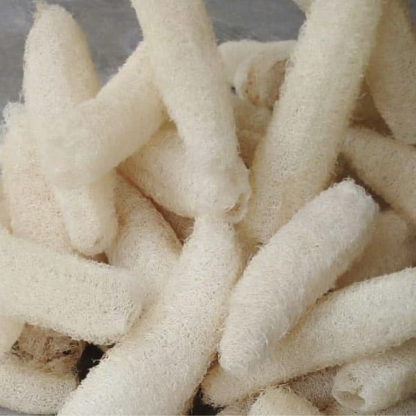we supply dried loofah overseas