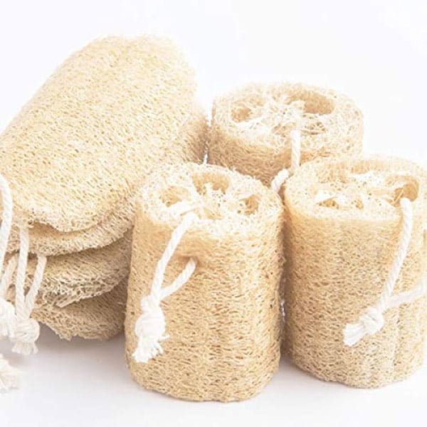 Dried Loofah Sponge