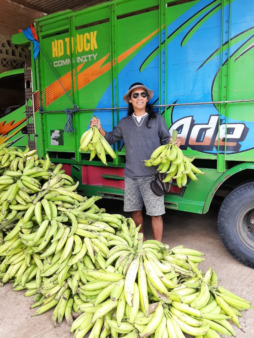 Pisang Tanduk ready to export overseas from Indonesia