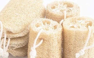 Dried Loofah Sponge