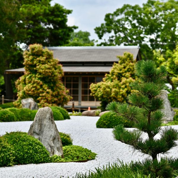 Peaceful Japanese garden scene with rocks, trees, and traditional house in Texas.